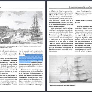 Interior del Tomo 6 de Nueva Historia de la Nación Argentina,, se puede ver que en el PDF el texto en monocromo  y seleccionable (celeste) y la imagen en tonos de gris